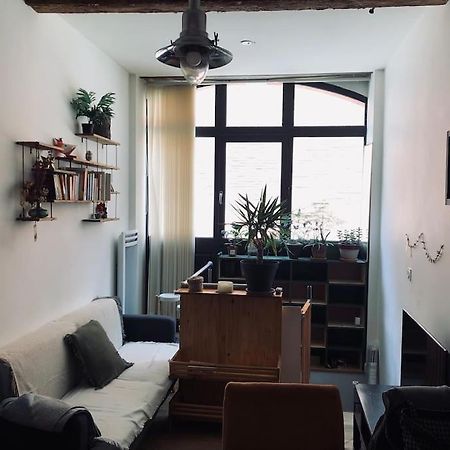 Logement De Charme Aux Carmes تولوز المظهر الخارجي الصورة