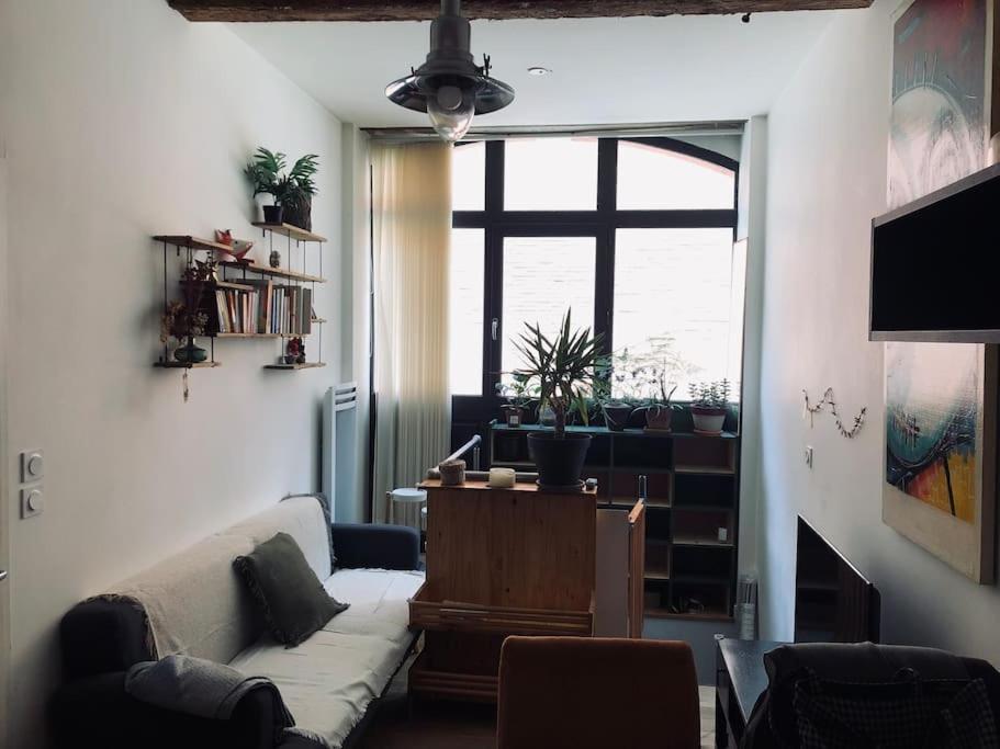Logement De Charme Aux Carmes تولوز المظهر الخارجي الصورة